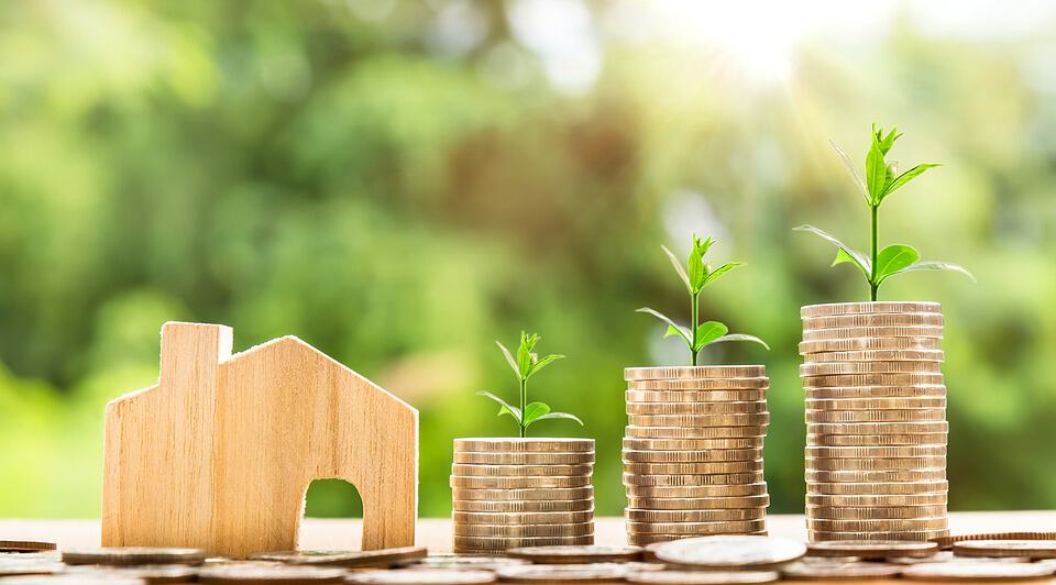 scpi comment investir à crédit photo croissance du capital