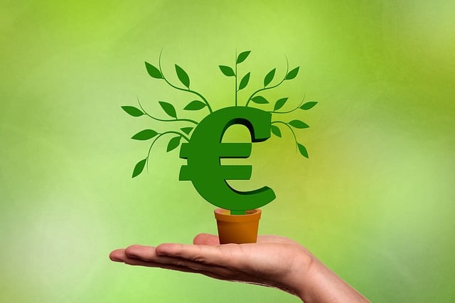 crédit scpi immorente la meilleure offre